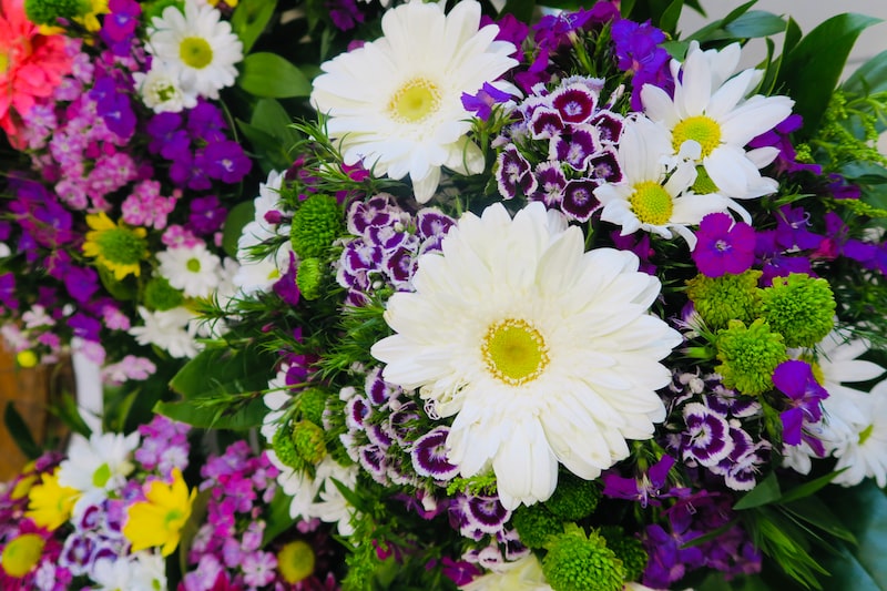 Beyaz Çiçekler: Saflık ve Temizlik