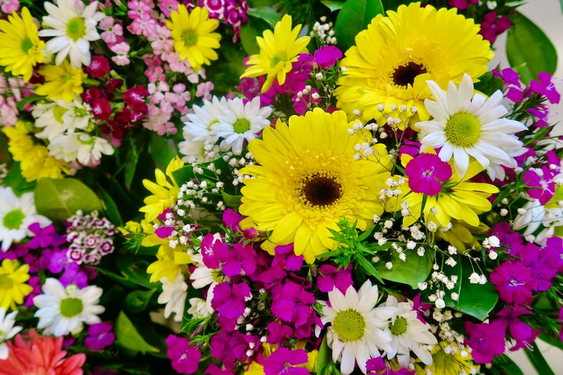 Sarı Çiçekler: Neşe ve Mutluluk