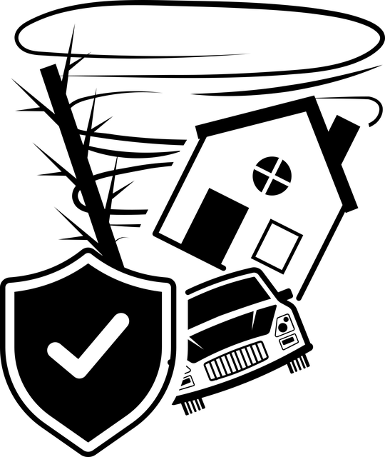 11. 11.